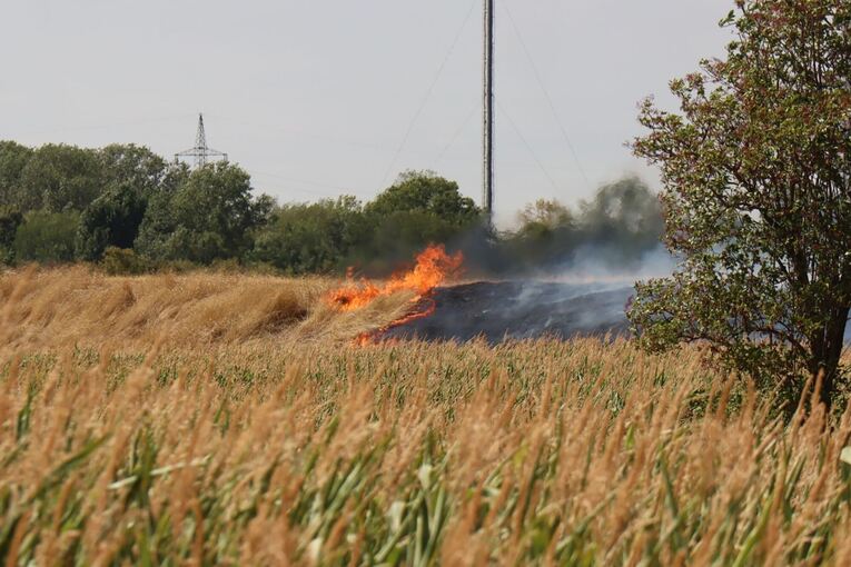 Flächenbrand in Mannheim-Neckarstadt