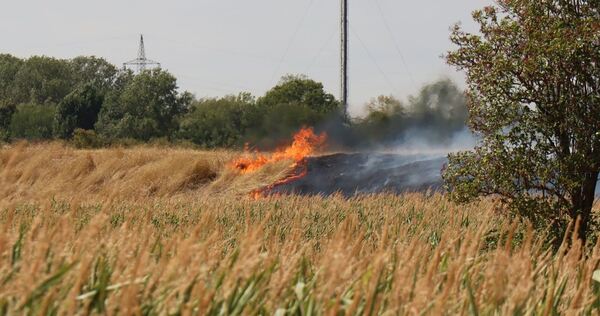 Flächenbrand in Mannheim-Neckarstadt