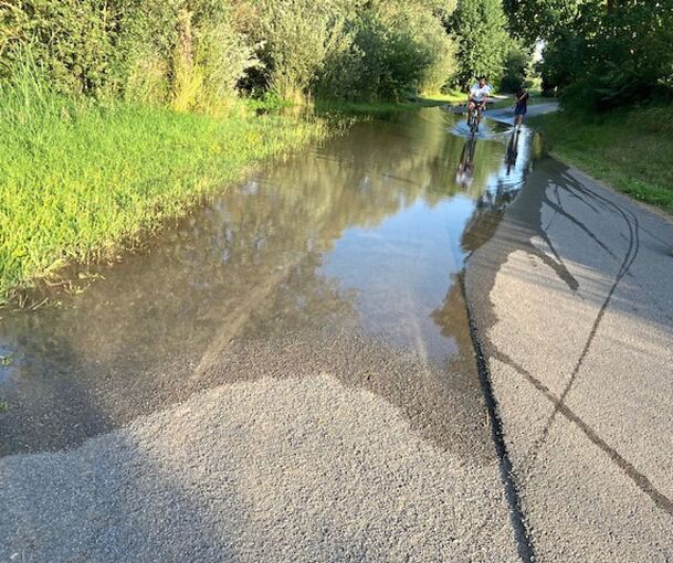 Immer wieder steht der Neckarradweg bei den Zugwiesen unter Wasser.