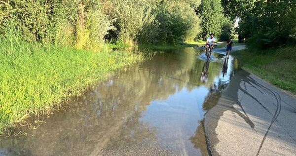Immer wieder steht der Neckarradweg bei den Zugwiesen unter Wasser.