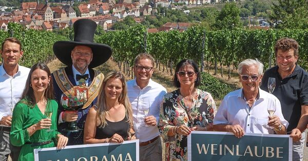 Ausschankhütte mit Blick über Besigheim soll Steillagen-Weinbau stützen