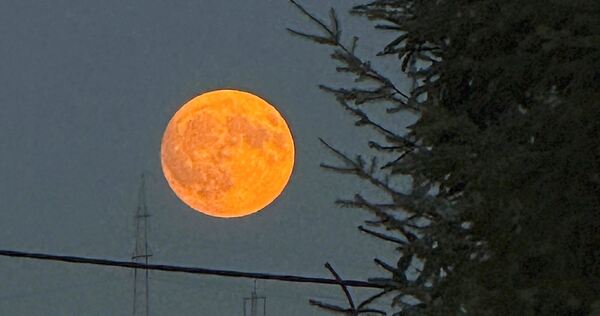 Bereits am Dienstagabend war der große Mond über Freiberg zu sehen.