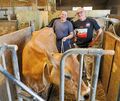 Landwirt Jan Blumhardt (links) und Thomas Eberle vom VfB Neckarrems mit Kuh Josephine. Tierschützer wollen verhindern, dass das Landwirt Jan Blumhardt (links) und Thomas Eberle vom VfB Neckarrems mit Kuh Josephine. Tierschützer wollen verhindern, dass das Tier am Viehscheid teilnimmt.