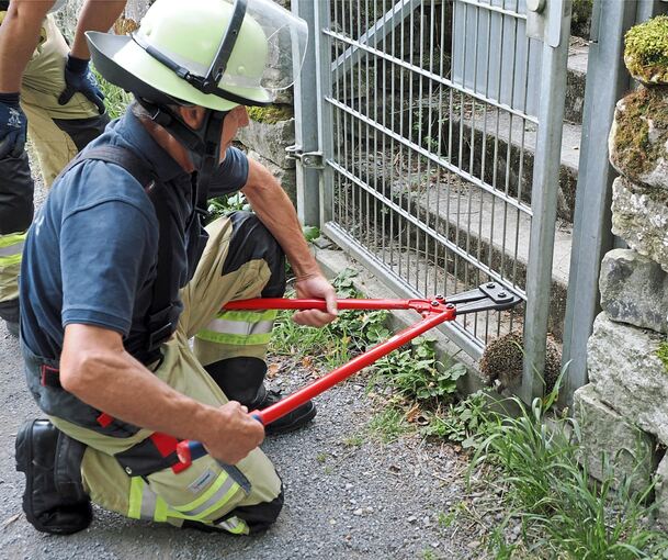Per Bolzenschneider befreit ein Feuerwehrmann einen eingeklemmten Igel. Per Bolzenschneider befreit ein Feuerwehrmann einen eingeklemmten Igel.