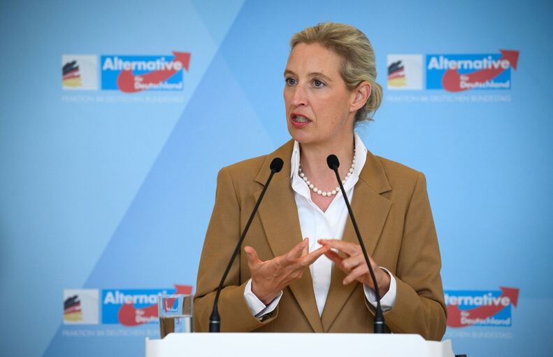 Alice Weidel Alice Weidel