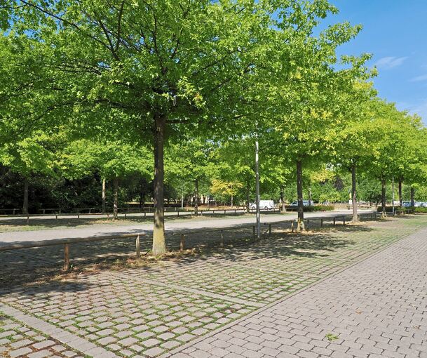 Blick auf den großen Parkplatz der Domäne Monrepos. Ab 1. August wird das Parken dort kostenpflichtig.