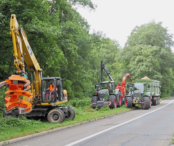 Einsatz mit schwerem Gerät: Zahlreiche Bäume an Marbacher Straße, Neckarstraße und Gämsenbergstraße müssen gefällt werden. Einsatz mit schwerem Gerät: Zahlreiche Bäume an Marbacher Straße, Neckarstraße und Gämsenbergstraße müssen gefällt werden.
