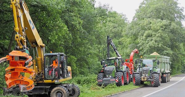 Einsatz mit schwerem Gerät: Zahlreiche Bäume an Marbacher Straße, Neckarstraße und Gämsenbergstraße müssen gefällt werden. Einsatz mit schwerem Gerät: Zahlreiche Bäume an Marbacher Straße, Neckarstraße und Gämsenbergstraße müssen gefällt werden.