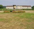 Kein Anblick, den man gerne sieht. Die Rasenflächen im Südgarten leiden sichtlich unter Hitze und Trockenheit. Kein Anblick, den man gerne sieht. Die Rasenflächen im Südgarten leiden sichtlich unter Hitze und Trockenheit.