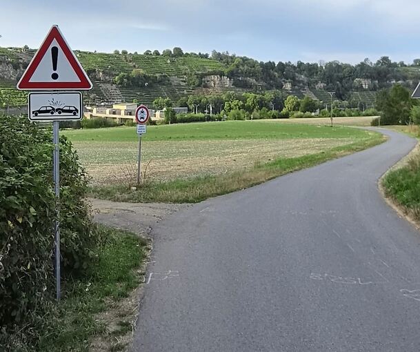 In einer der unteren Rechtskurven des Wirtschaftswegs zur Staustufe Poppenweiler weist nun ein Schild auf eine „Allgemeine Gefahrenstelle“ hin. Das bedeutet: vorsichtig fahren und die Geschwindigkeit reduzieren. Das Zusatzschild darunter, auf dem zwe