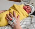 Das Baby (Symbolfoto) kam gesund zur Welt Das Baby (Symbolfoto) kam gesund zur Welt