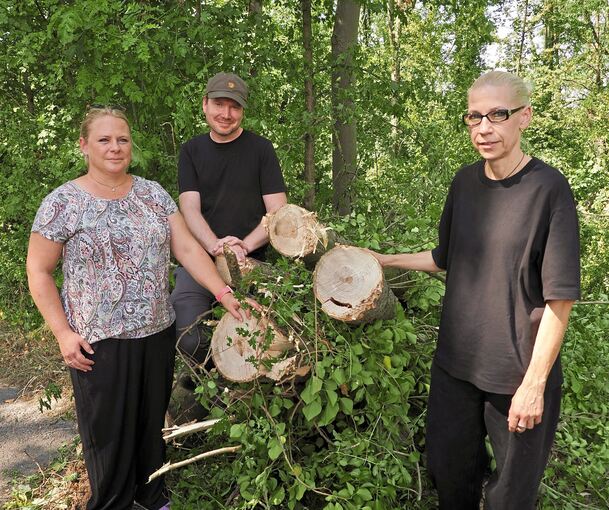 Stefanie Burger, Hugh-Henning Driehaus (beide vom Fachbereich Grünflächen) mit der Leiterin des Fachbereichs Tiefbau und Grünflächen, Ulrike Schmidtgen (von links), vor einer gefällten Esche.