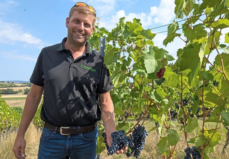 Christian Bähr in seinem Weinberg in Erligheim: Die alten Reben an dem Nordwesthang kommen mit der Trockenheit gut zurecht.