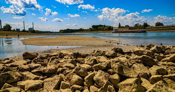Niedrigwasser am Rhein