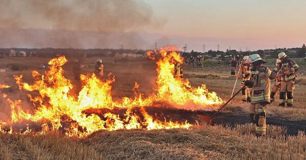 Ditzingen Fire Department practices vegetation fire response