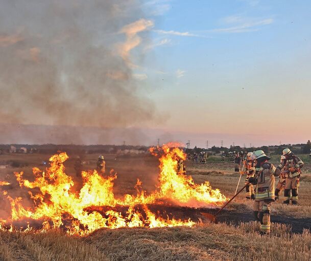 Das Feuer wurde auf einem abgeernteten Feld gelegt. Das Feuer wurde auf einem abgeernteten Feld gelegt.