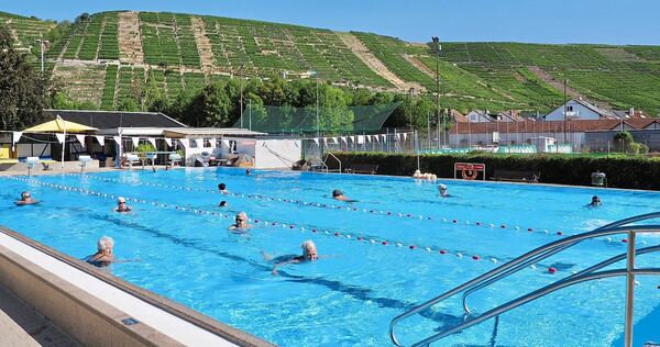 Schwimmen mit tollem Ausblick: In Mundelsheim ist’s möglich. Schwimmen mit tollem Ausblick: In Mundelsheim ist’s möglich.