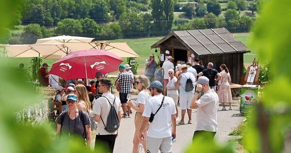 Enjoyable tour through the vineyards around Besigheim, Bietigheim and ...
