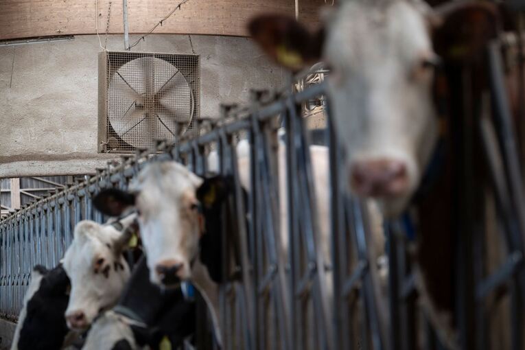 Trockenheit in der Landwirtschaft