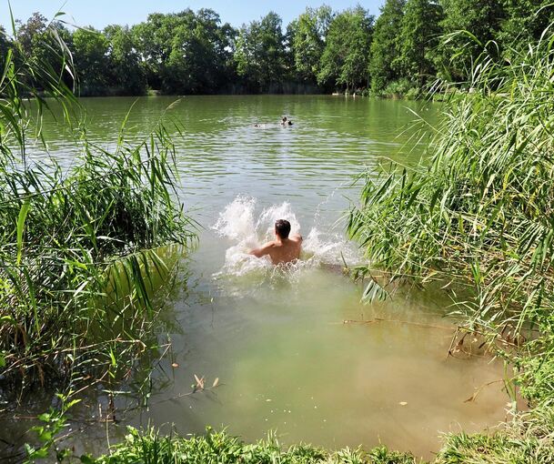 Das Baden im Unteren Seewaldsee bietet ein unbeschwertes Plantschvergnügen in freier Natur.