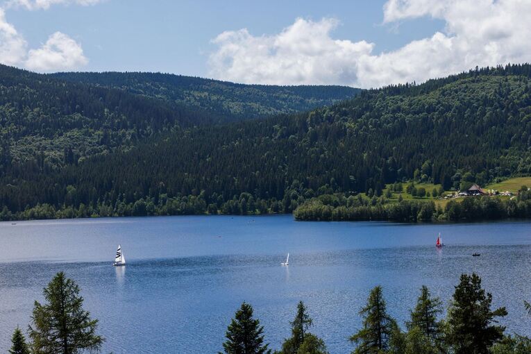Mehr Besucher in der Ferienregion Schwarzwald Mehr Besucher in der Ferienregion Schwarzwald