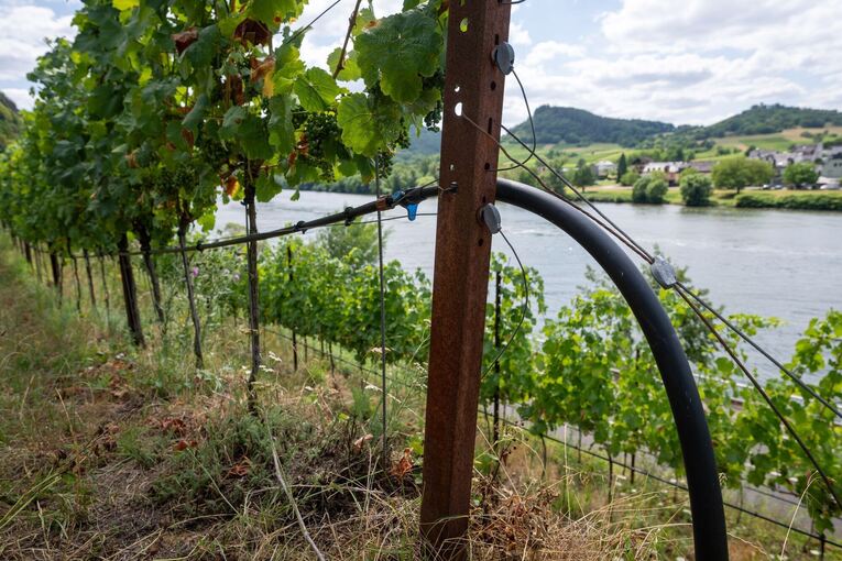 Trockenheit an den Steilhängen