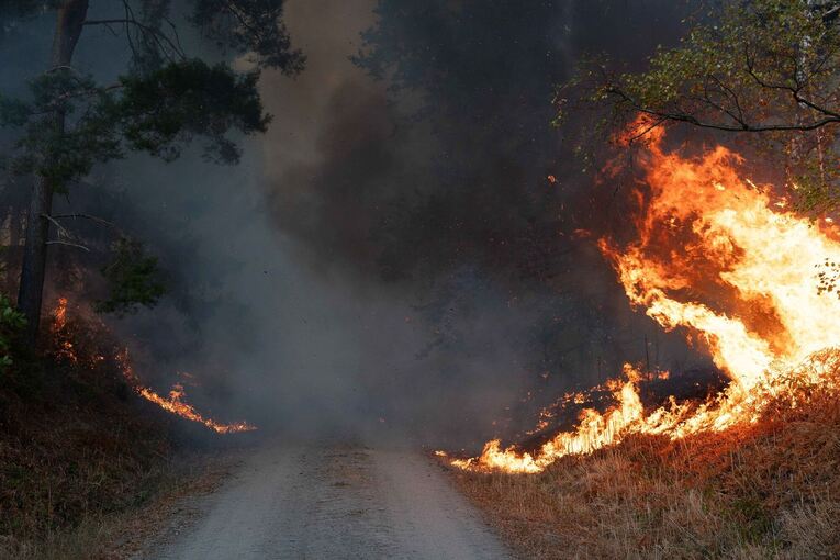 Waldbrand im Hürtgenwald