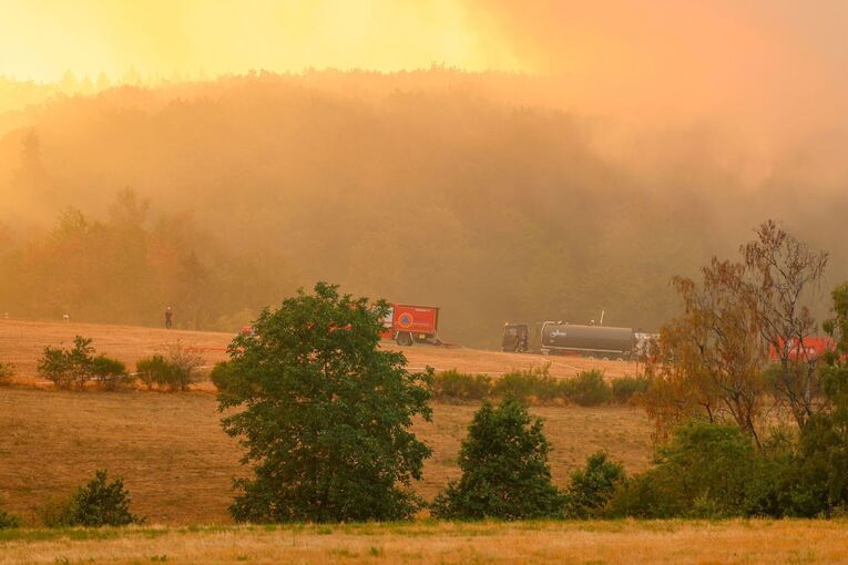 Waldbrand im Hürtgenwald