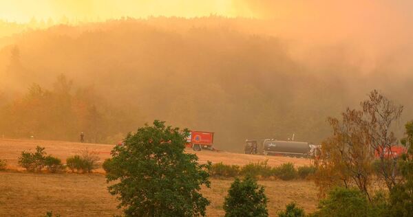 Waldbrand im Hürtgenwald