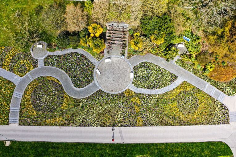 «Sieht aus wie Herbst» – Trockenheit plagt botanische Gärten «Sieht aus wie Herbst» – Trockenheit plagt botanische Gärten