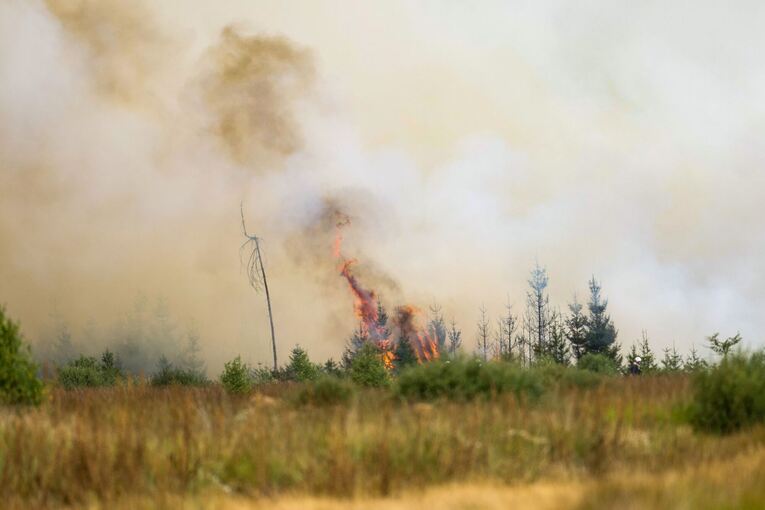 Waldbrand in Belgien Waldbrand in Belgien