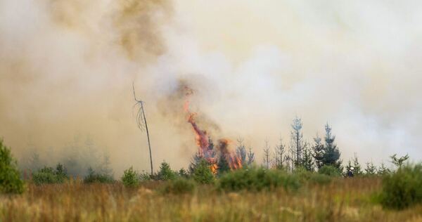 Waldbrand in Belgien