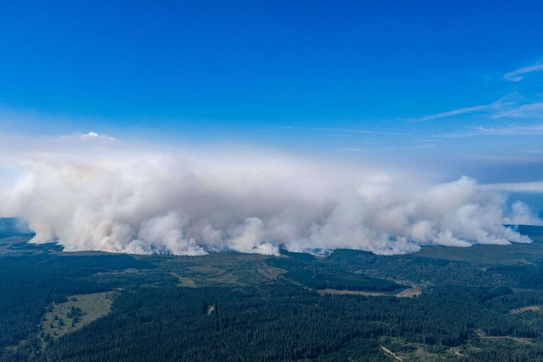 Waldbrand in Belgien