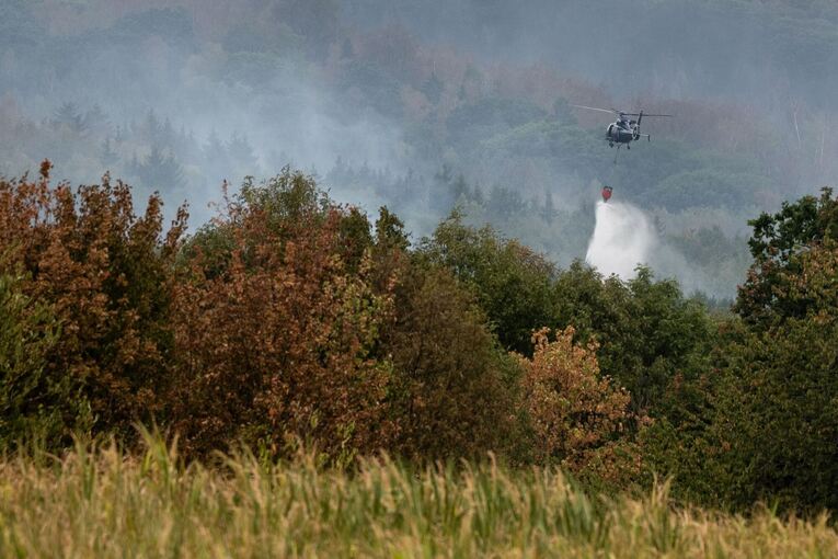 Waldbrand im Hürtgenwald