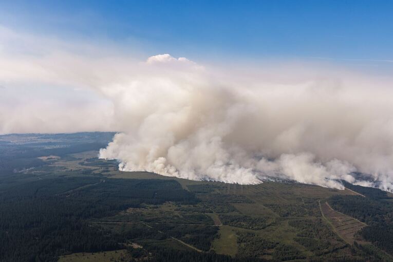Waldbrand in Belgien Waldbrand in Belgien