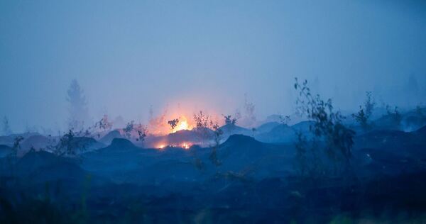 Waldbrand in Belgien