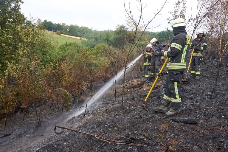 Waldbrand im Westerwald Waldbrand im Westerwald