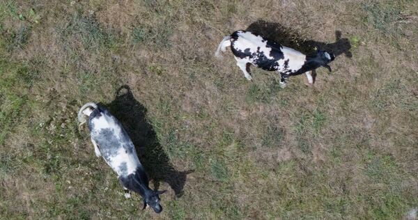 Trockenheit in der Landwirtschaft Trockenheit in der Landwirtschaft