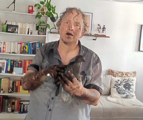 Ende gut, alles gut: Nach der Rettungsaktion sind nicht nur die kohlrabenschwarze Taube, sondern auch Taubenretterin Stephanie Baumer fix und fertig.