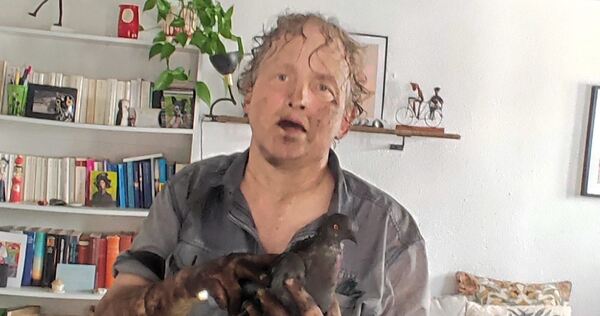 Ende gut, alles gut: Nach der Rettungsaktion sind nicht nur die kohlrabenschwarze Taube, sondern auch Taubenretterin Stephanie B Ende gut, alles gut: Nach der Rettungsaktion sind nicht nur die kohlrabenschwarze Taube, sondern auch Taubenretterin Stephanie Baumer fix und fertig.