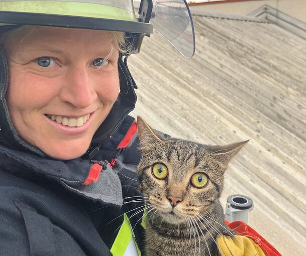 Große Augen macht die Katze nach ihrer Rettung. Große Augen macht die Katze nach ihrer Rettung.