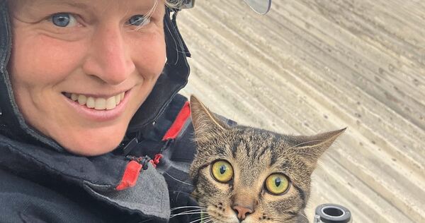 Große Augen macht die Katze nach ihrer Rettung. Große Augen macht die Katze nach ihrer Rettung.