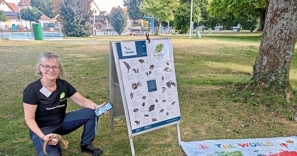Christine Fiedler leitete den Fledermaus-Workshop; in den alten Bäumen des Schloss-Freibads Sachsenheim sind viele der flinken F Christine Fiedler leitete den Fledermaus-Workshop; in den alten Bäumen des Schloss-Freibads Sachsenheim sind viele der flinken Flieger zuhause.