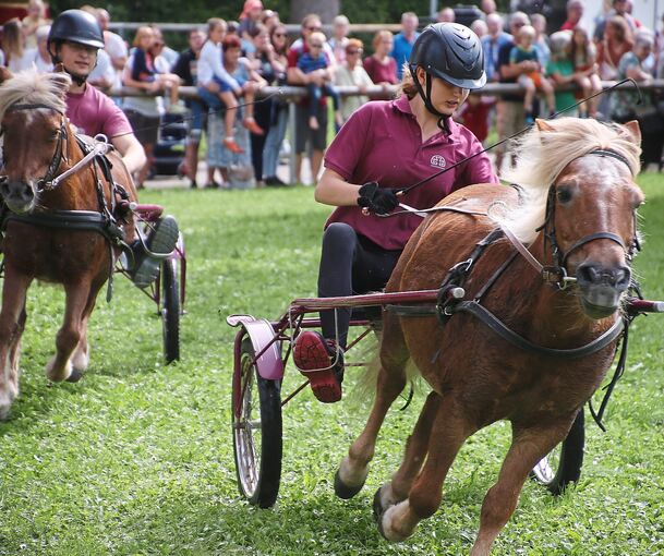 Der Ponyhof Müller veranstaltet beim Bietigheimer Pferdemarkt die Wettbewerbe für die kleinsten Vierbeiner, auch in Ludwigsburg war er präsent.