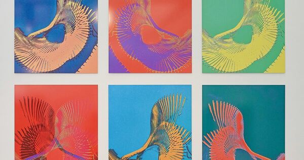 Mut zur kunstvollen Abstraktion: Viele Arbeiten Reiner Michelfelders waren schwarz-weiß gehalten – diese hier wurde im Nachgang koloriert.