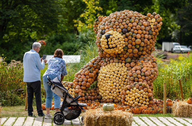 Kürbisausstellung unter dem Motto «Let’s play»