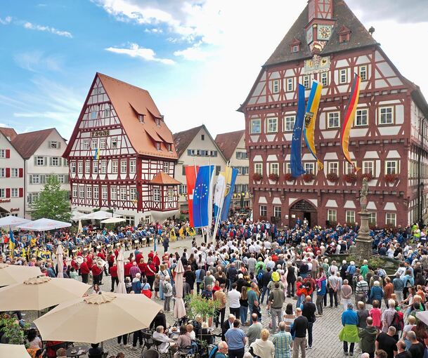 Bei der Eröffnung des Internationalen Musikfestes herrschte bestes Wetter.