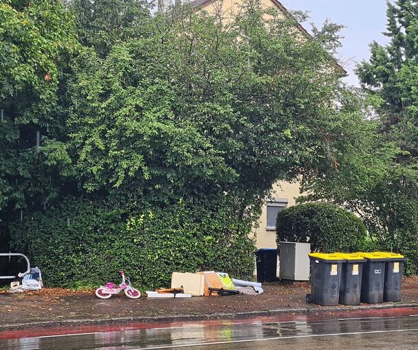 Kinderfahrrad, Tüten, Unrat, Kleinmöbel: Der Müllhaufen in der Markgröninger Straße in Eglosheim wächst erneut.