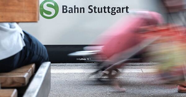 Man spits on toddler and insults mother on S-Bahn towards Stuttgart