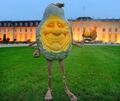 Ab sofort wohnen geschnitzte Hubbard-Kürbis-Figuren im Blühenden Barock. Ab sofort wohnen geschnitzte Hubbard-Kürbis-Figuren im Blühenden Barock.